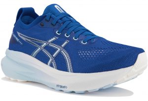 Gel-Kayano 31