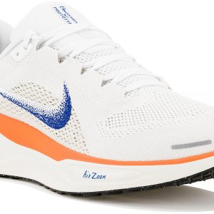 Pegasus 41