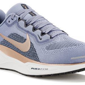 Pegasus 41