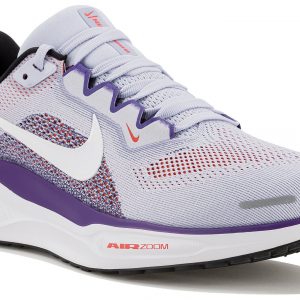 Pegasus 41