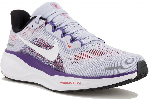 Pegasus 41