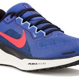 Pegasus 41