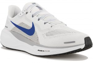 Pegasus 41