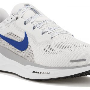 Pegasus 41