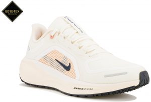Pegasus 41 Gore-Tex