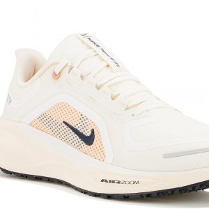 Pegasus 41 Gore-Tex