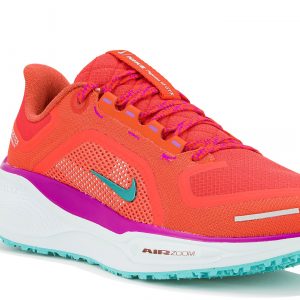 Pegasus 41 Gore-Tex