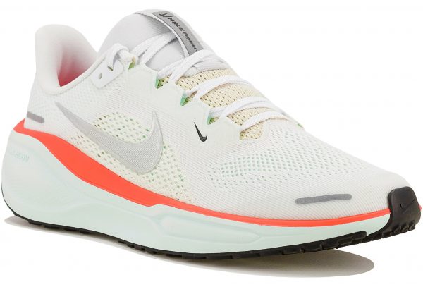 Pegasus 41 Junior