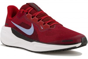 Pegasus 41 Junior