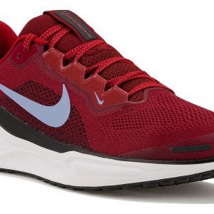 Pegasus 41 Junior
