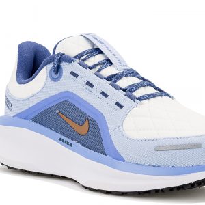 Air Winflo 11 Gore-Tex