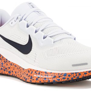 Pegasus 41