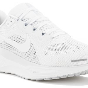 Pegasus 41