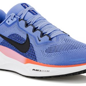 Pegasus 41