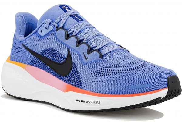 Pegasus 41