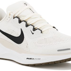 Pegasus 41
