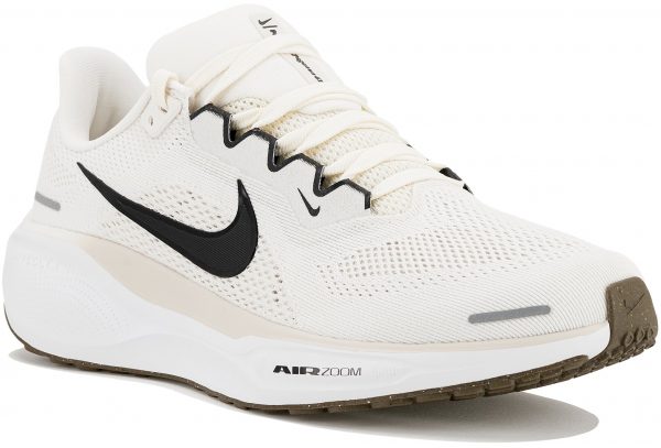 Pegasus 41