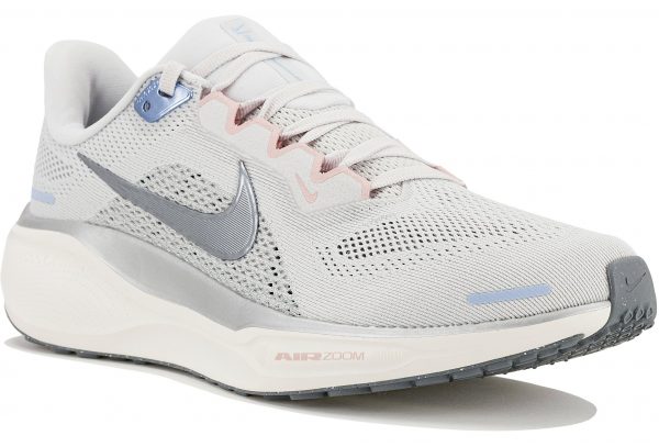 Pegasus 41