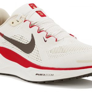 Pegasus 41