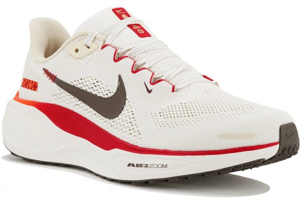 Pegasus 41