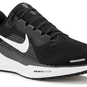 Pegasus 41