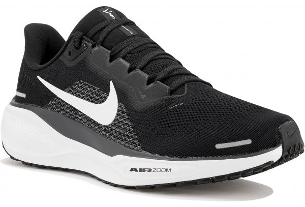 Pegasus 41
