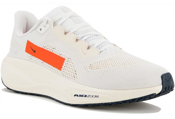 Pegasus 41 Prequel