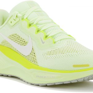 Pegasus 41