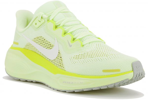 Pegasus 41