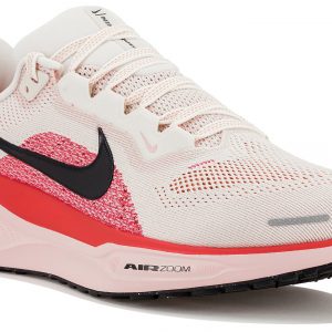 Pegasus 41