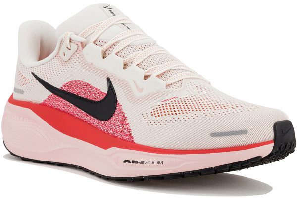 Pegasus 41