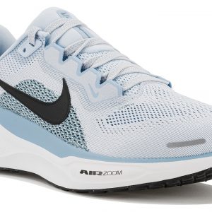 Pegasus 41
