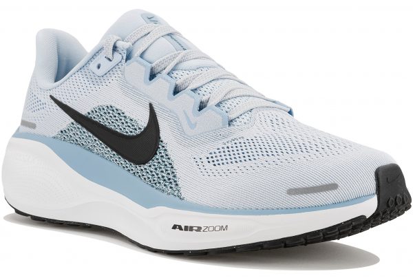 Pegasus 41