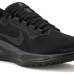 Pegasus 41