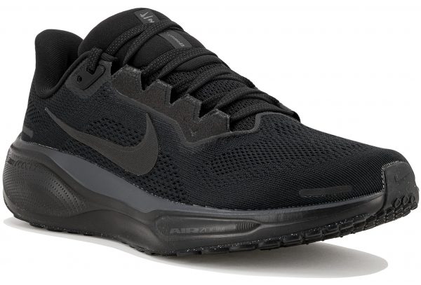 Pegasus 41