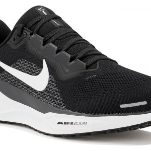 Pegasus 41