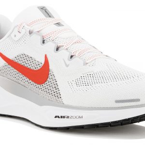 Pegasus 41