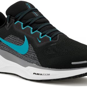 Pegasus 41
