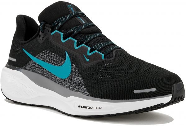 Pegasus 41