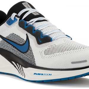 Pegasus 41