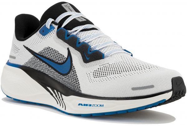 Pegasus 41