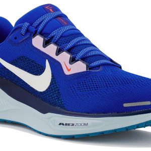 Pegasus 41