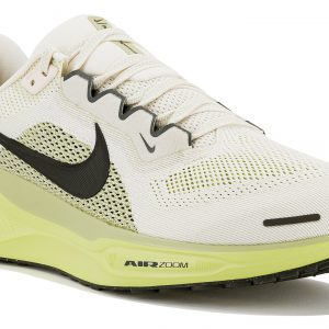 Pegasus 41