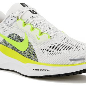Pegasus 41
