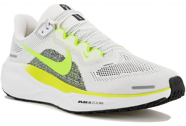 Pegasus 41