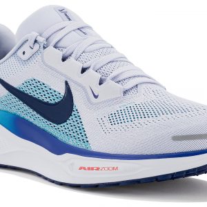 Pegasus 41