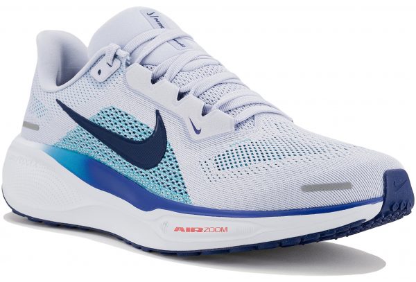 Pegasus 41