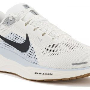 Pegasus 41