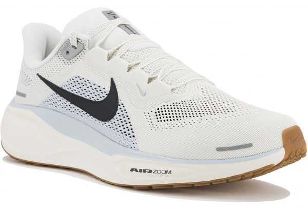 Pegasus 41