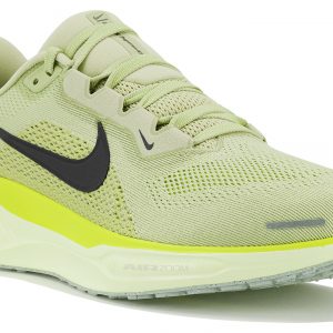 Pegasus 41